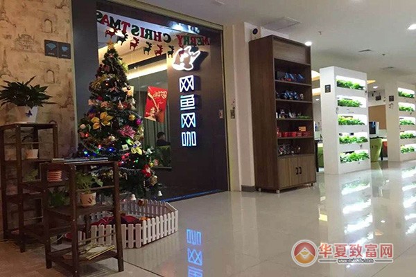 网鱼网咖加盟